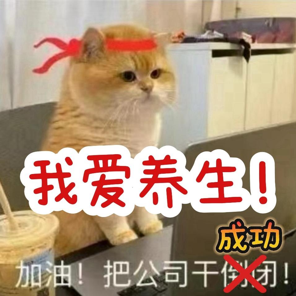 尚道·养生小猫日记