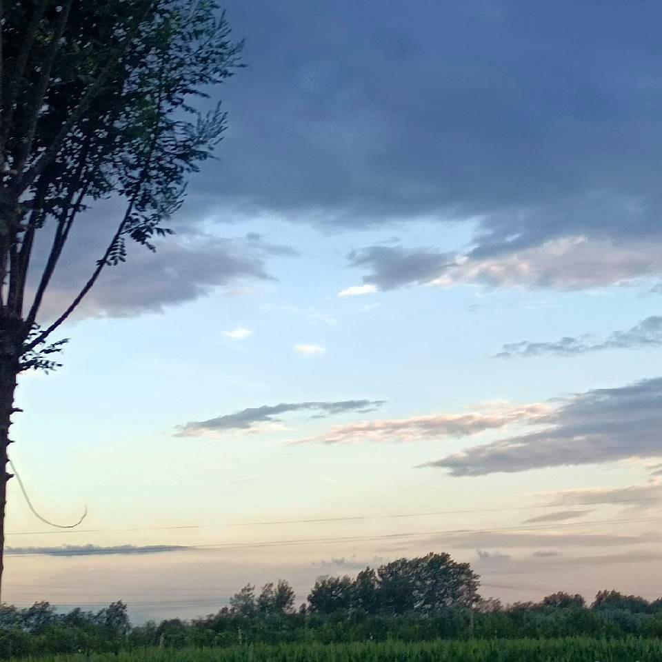 青陆人力资源售后号