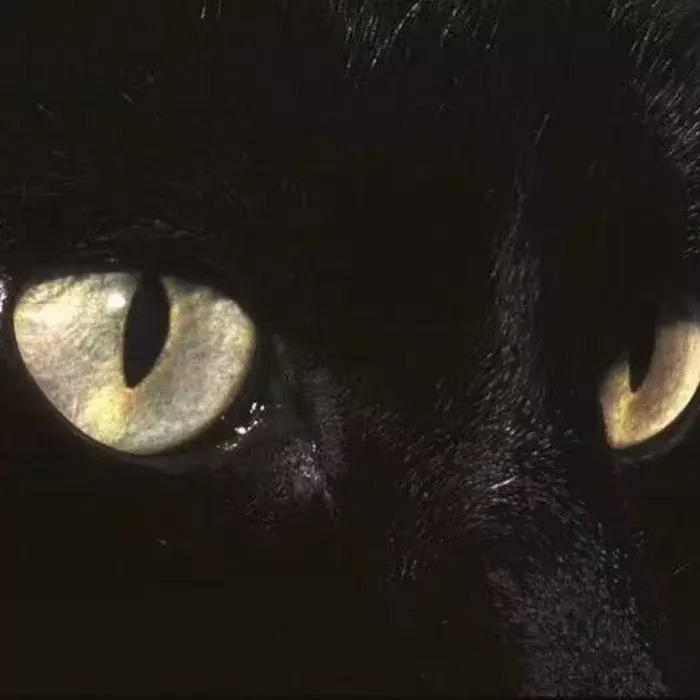 武汉彰巍商贸有限公司懒洋洋