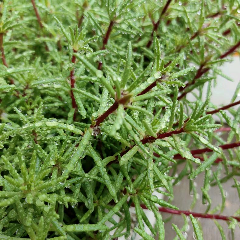 华夏仁益推拿按摩所官方号