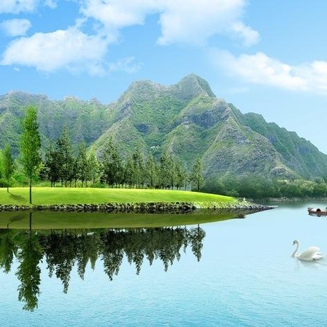 冉娥网络科技有限公司