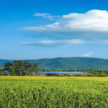 玲玲超市(首城店)小李运营号
