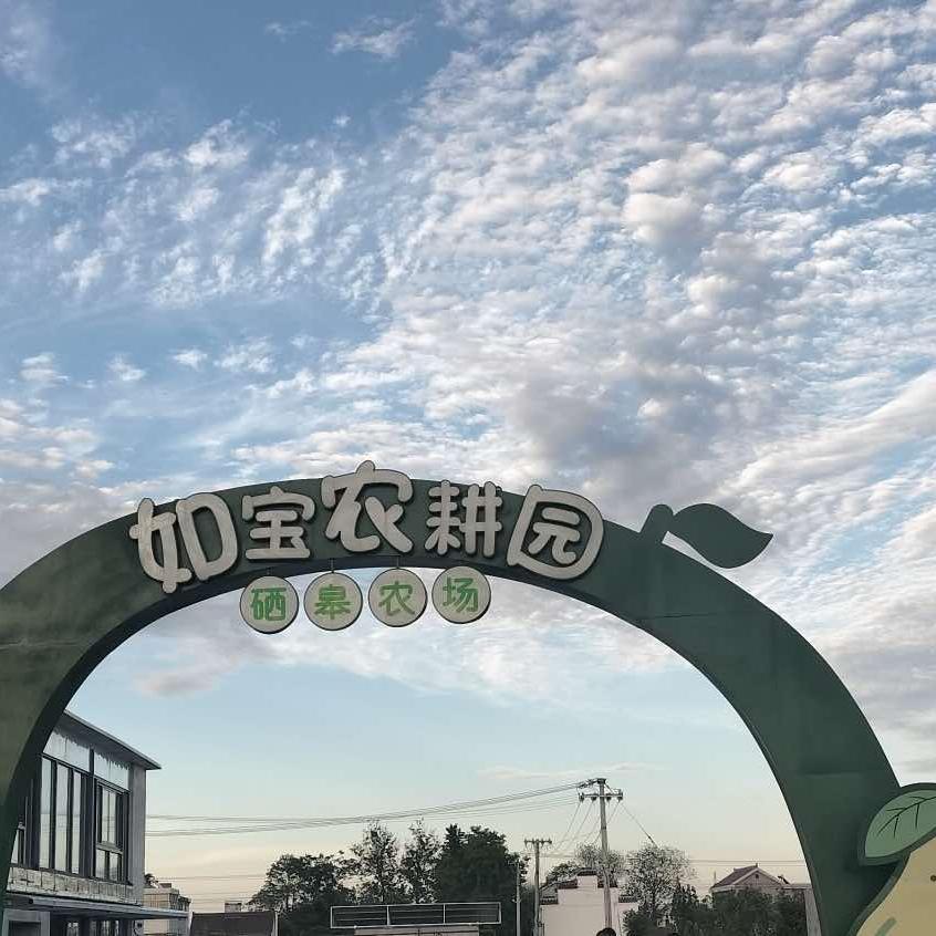 硒皋农场