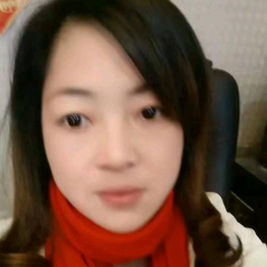 路易诗兰进口艺术漆