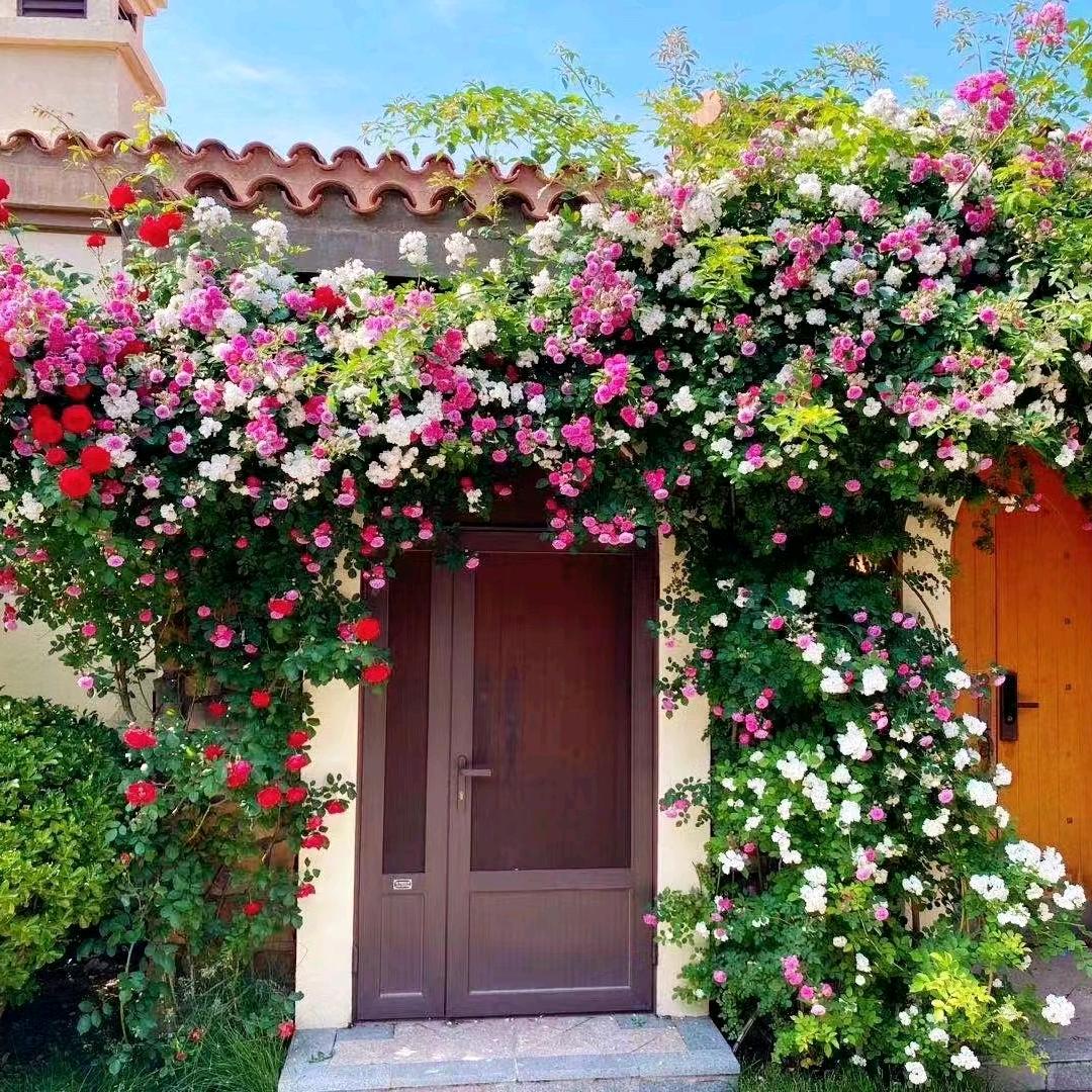 栖海岸度假民宿