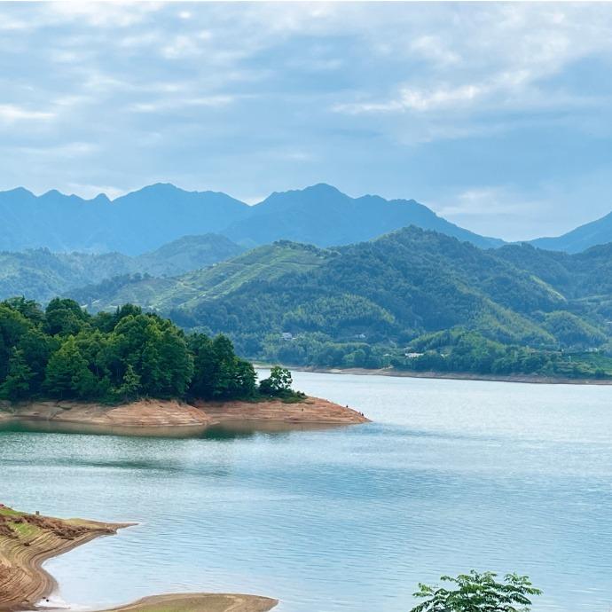 浙江威姜闪闪运营号