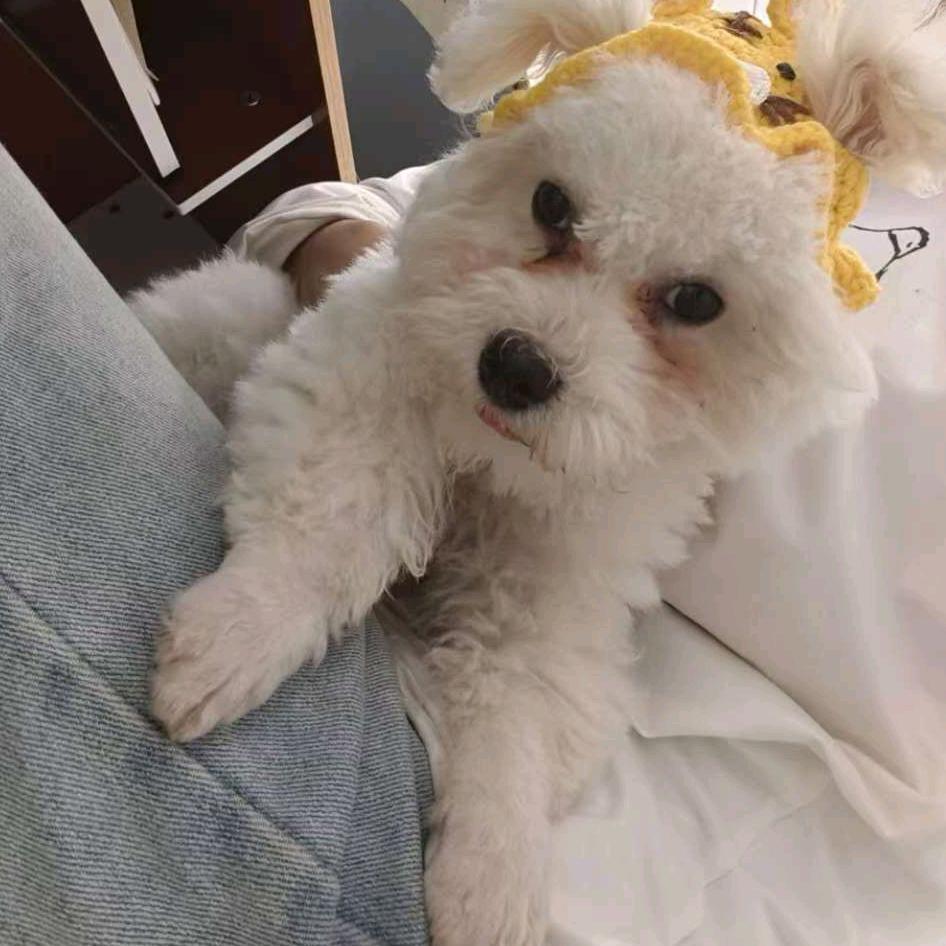 狗壮猫肥宠物生活馆