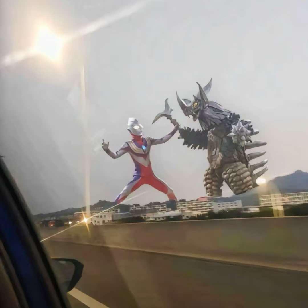zc张直播号