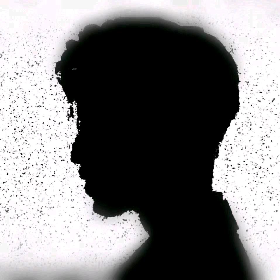 毅燃本地生活全案