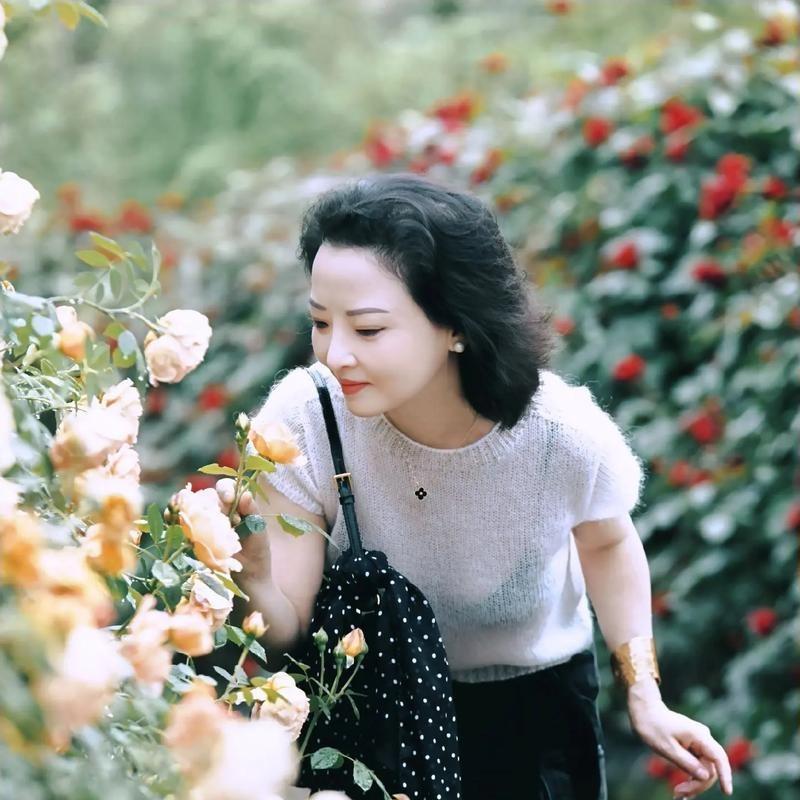 我是云儿云儿（云龙解仙）