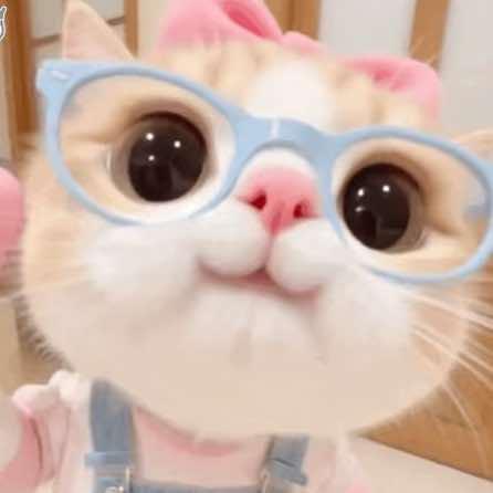 Hello 女孩