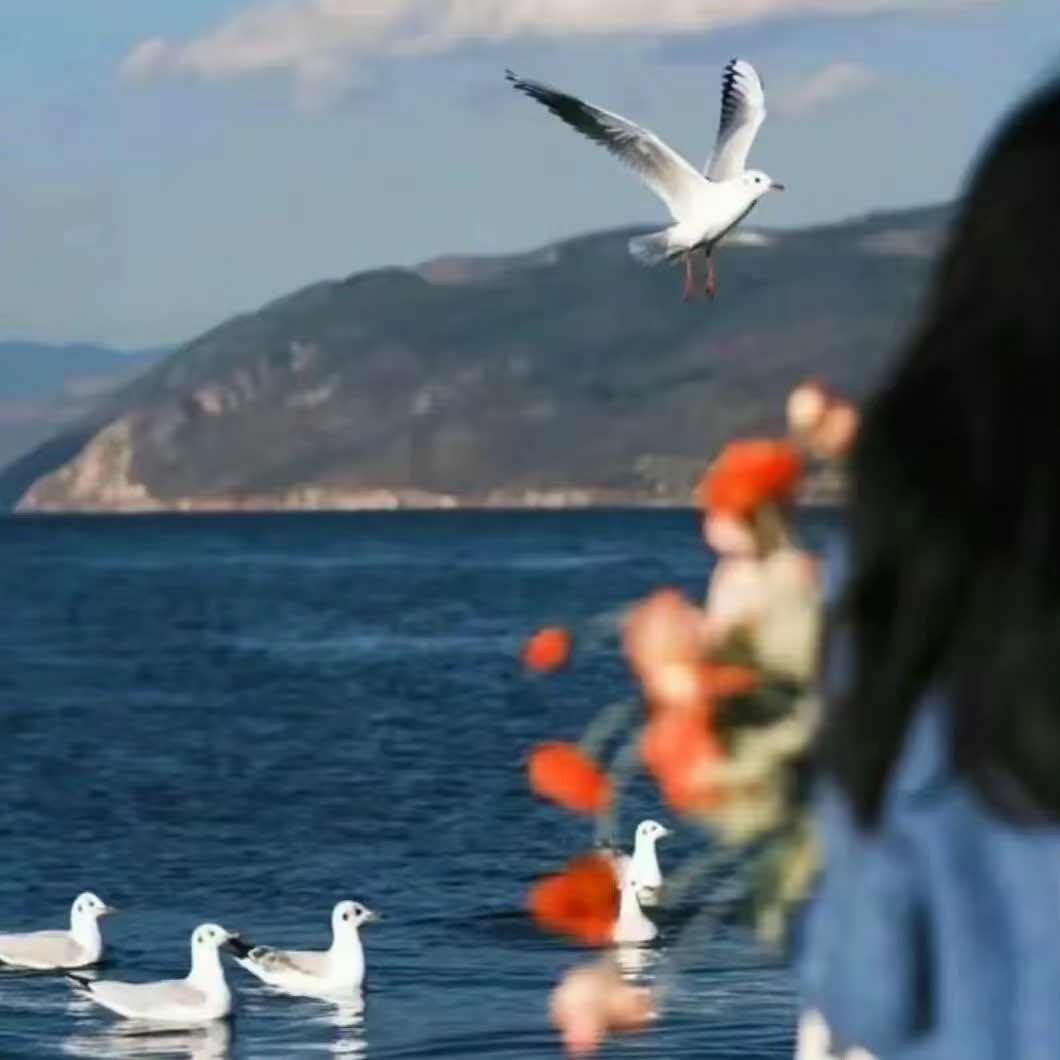 丁丁小居(青岛云雾山路店)官方号