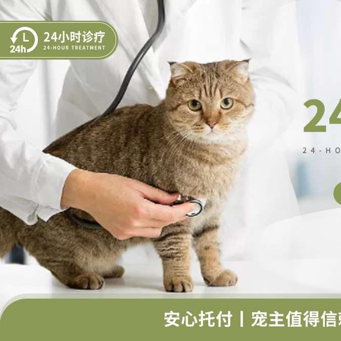 澄海巨宠岛宠物医院·内窥镜中心