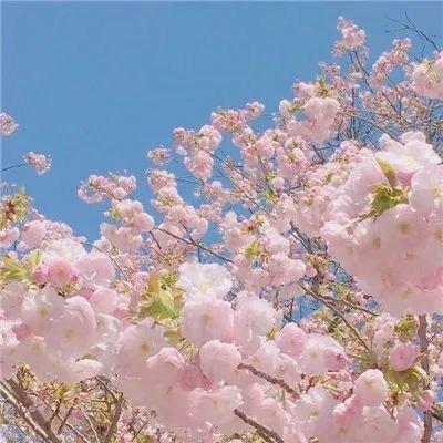 沸准键生活号