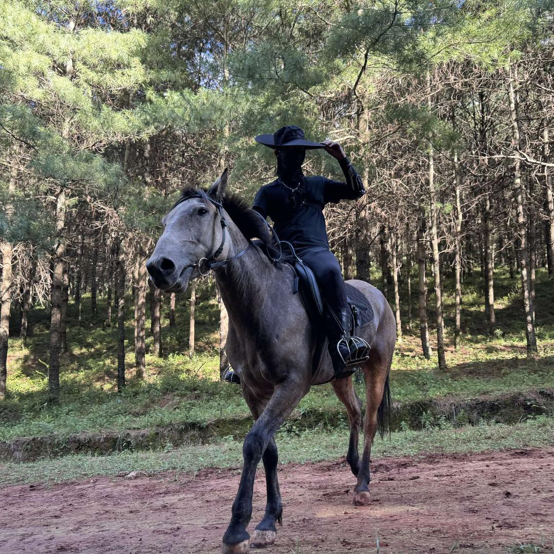 澄野骑马术俱乐部官方号