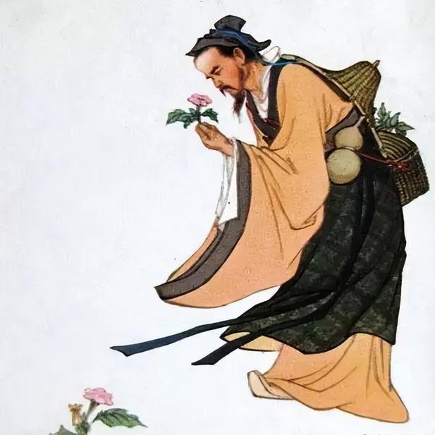娉古方甄选号（新一飞直播号）