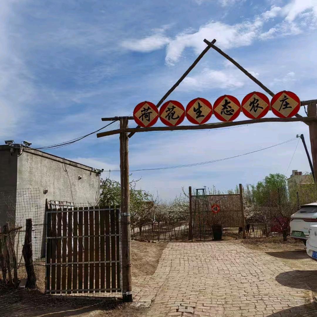 荷花生态农庄烧烤