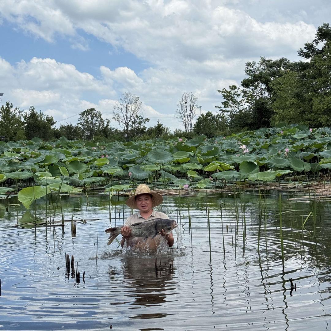 高企食府民间菜