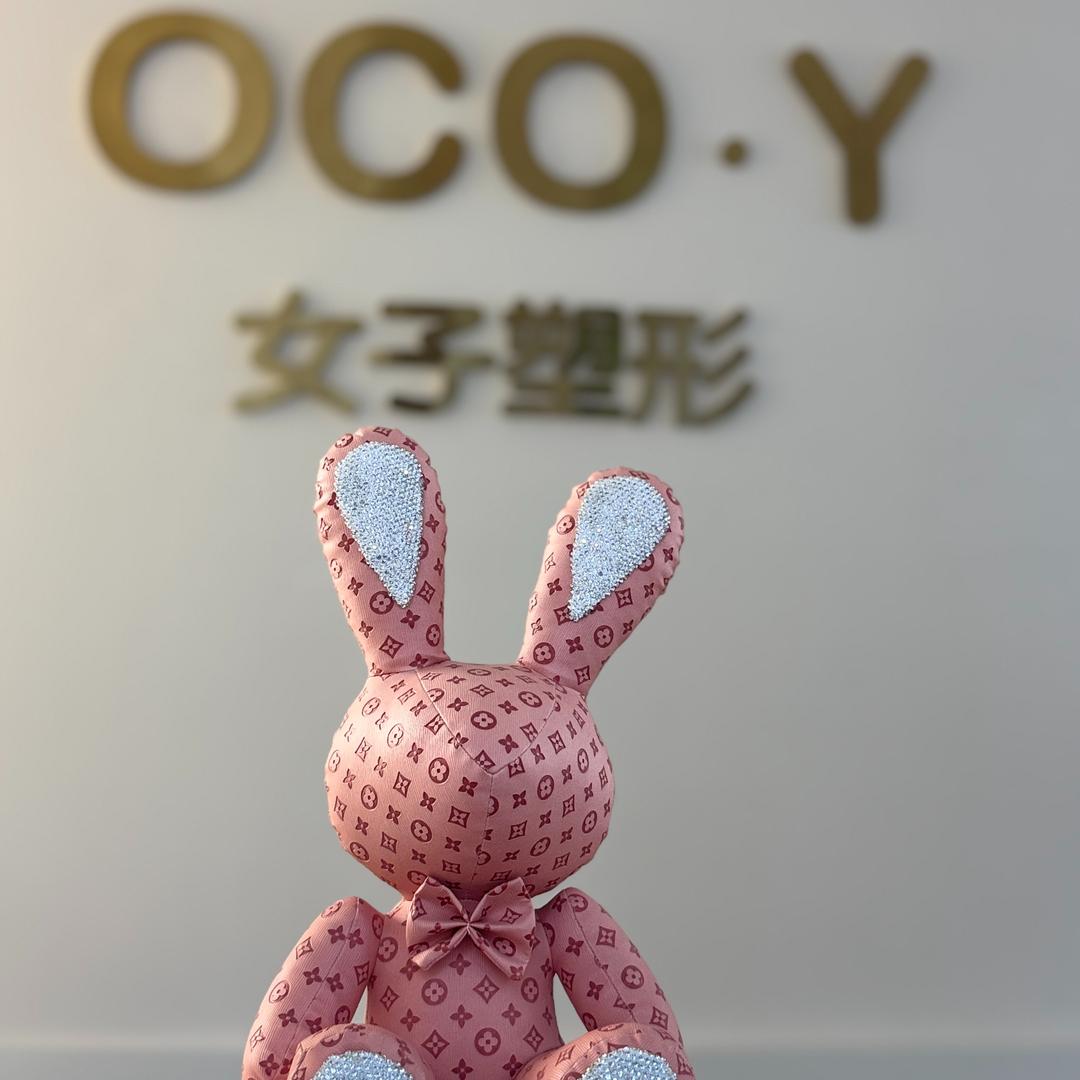 北京新颖橡树体育文化有限公司