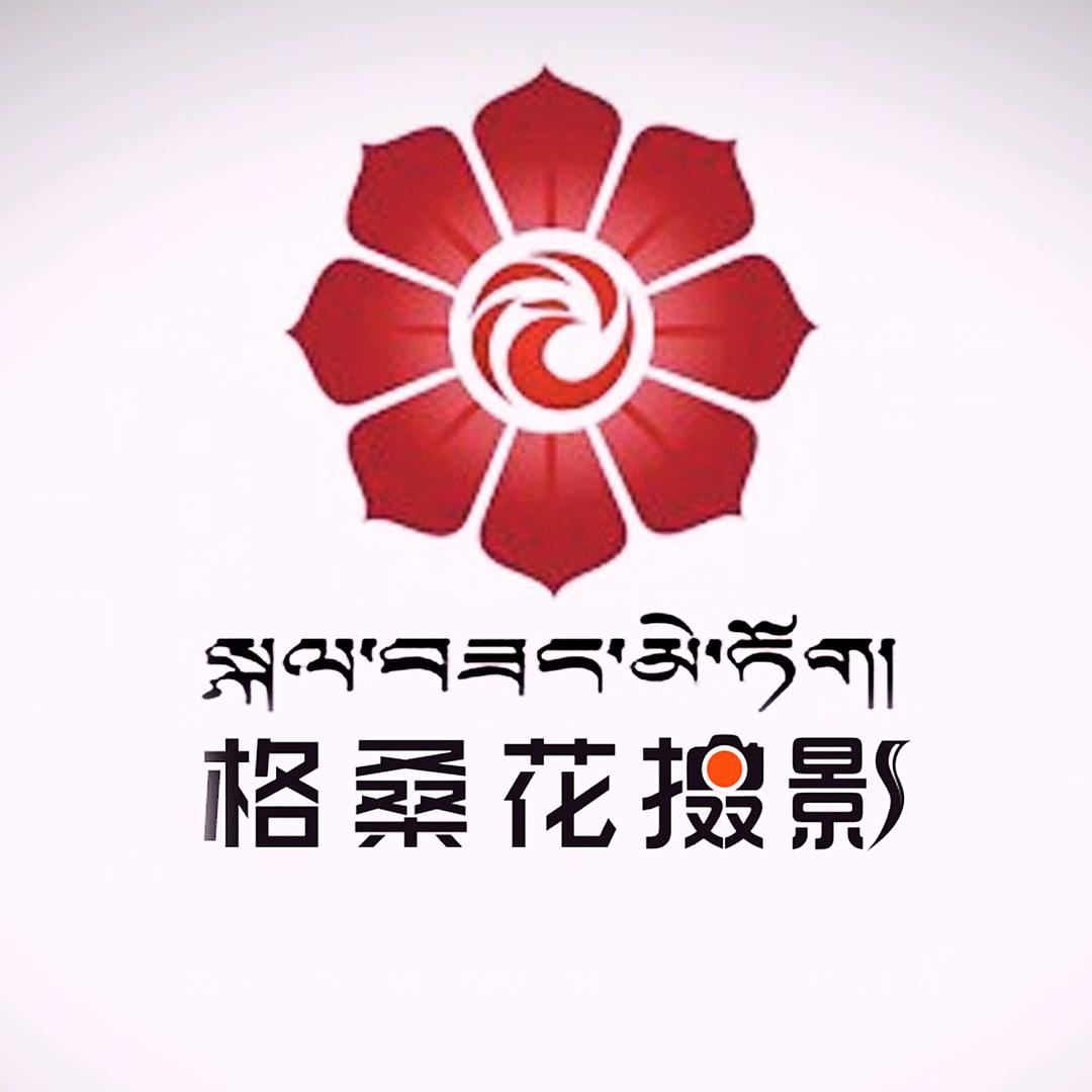 玉树格桑花摄影官方号