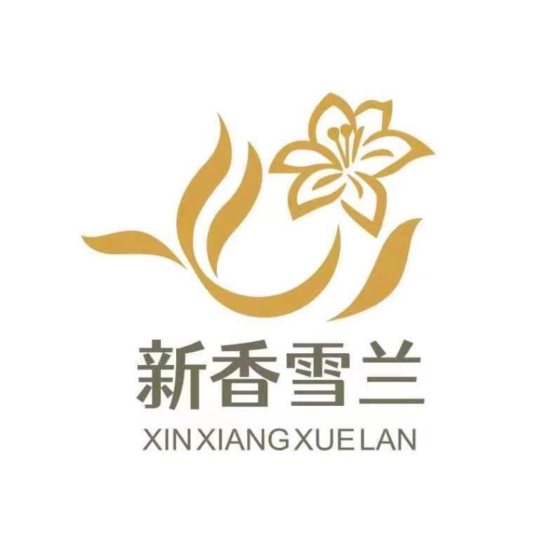 新香雪兰官方抖音号