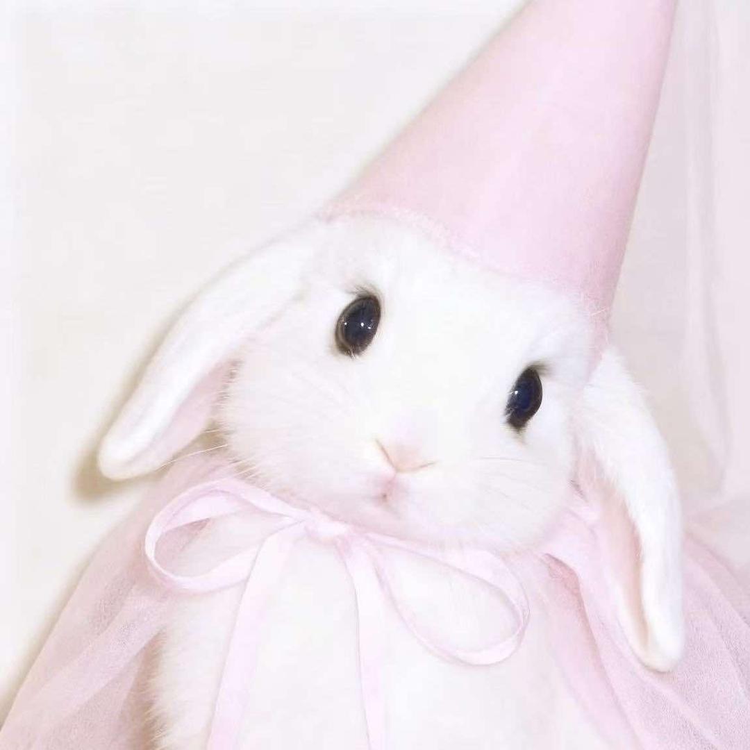 枣庄好柿文化传媒官方号