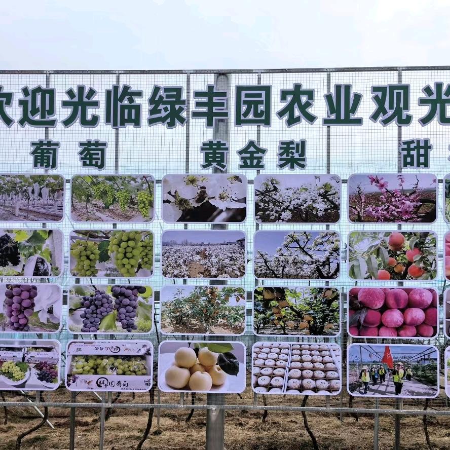 陕西绿丰园生态农家乐宠粉号