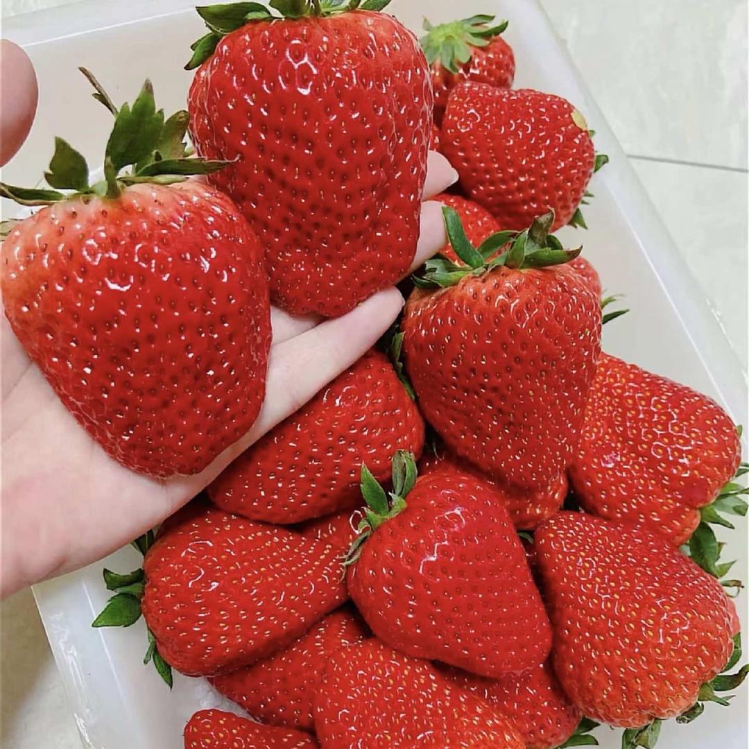 北碚罗妹水果优鲜铺