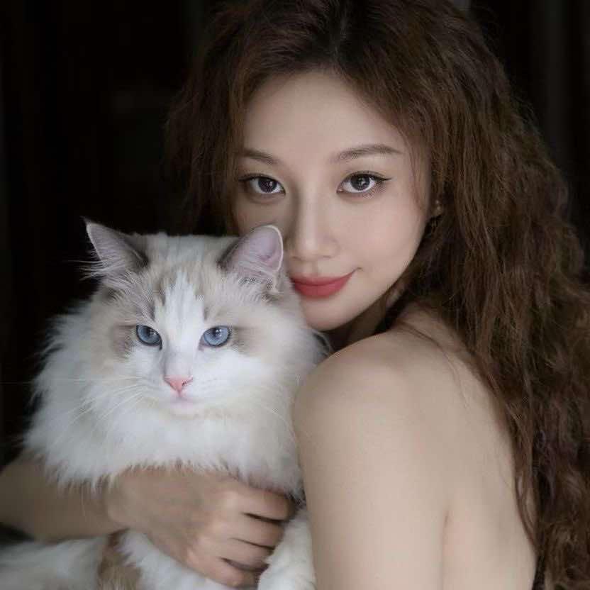 布丁猫咖猫舍(北湖公园店)官方号