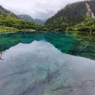梦动传奇-如风直播号