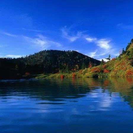 醉华家园售后号