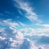 熙诺快修(高新大道店)聚瑾鑫品牌号