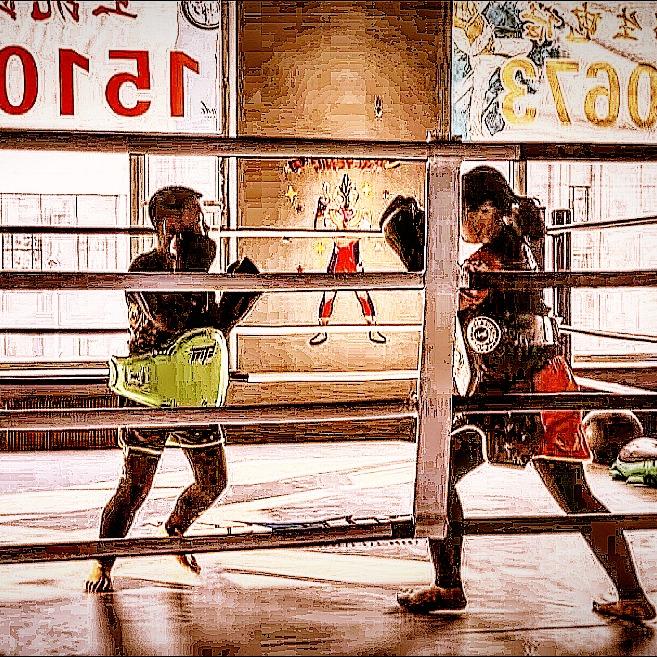 白城市王凯武道馆