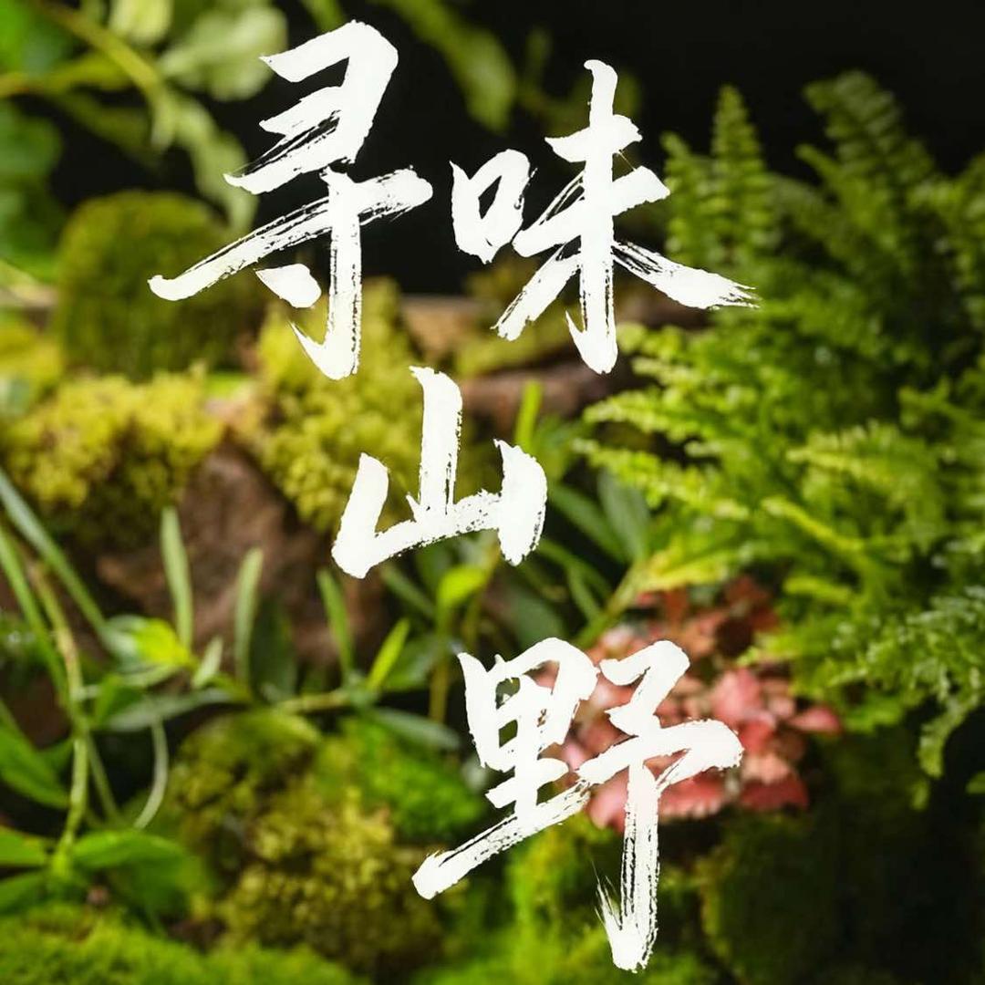 托克托县江阿嫂自助烤肉