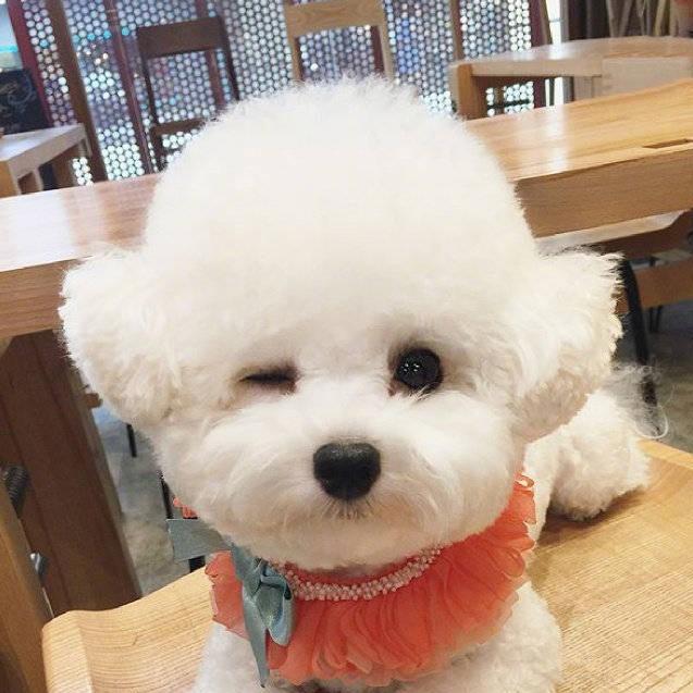 翩贝1号直播间