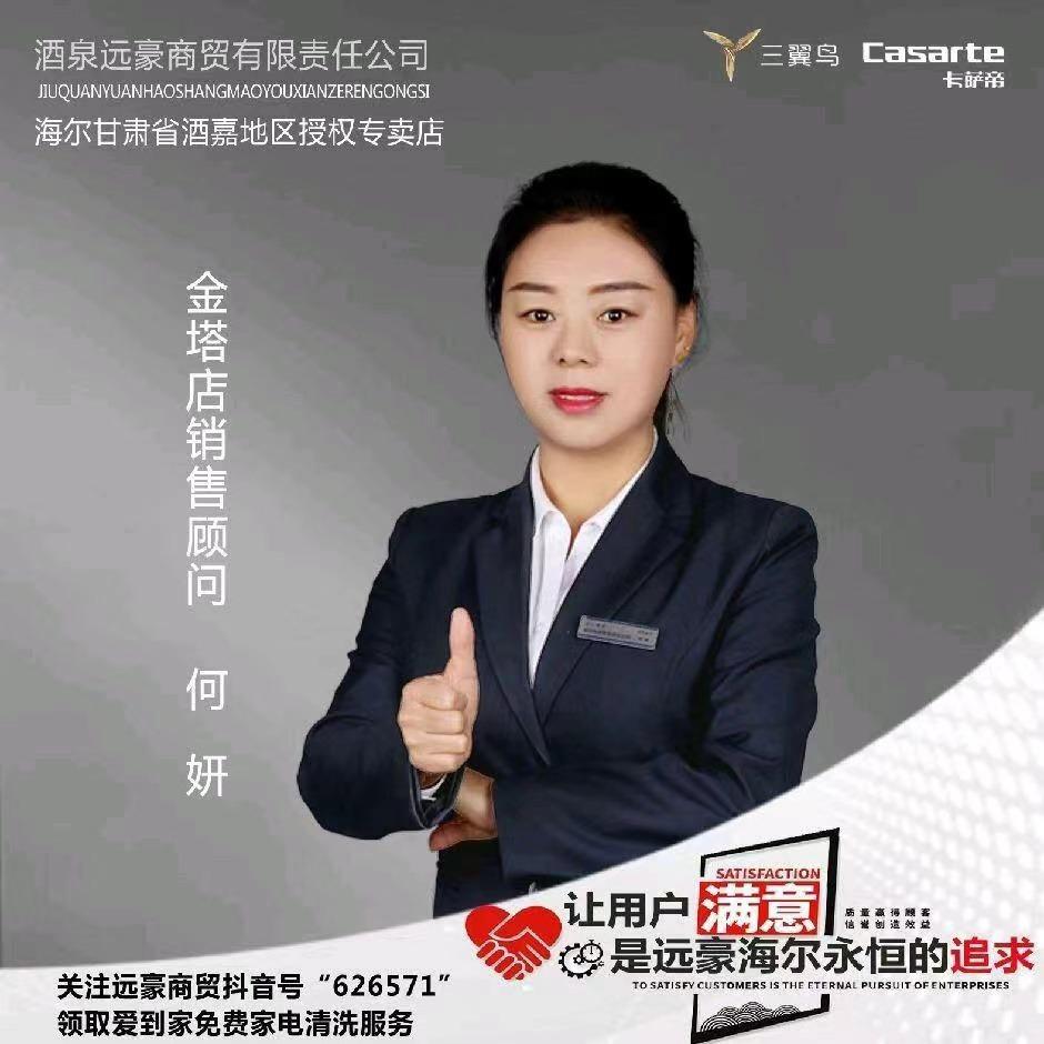 海尔专卖店（金塔店）