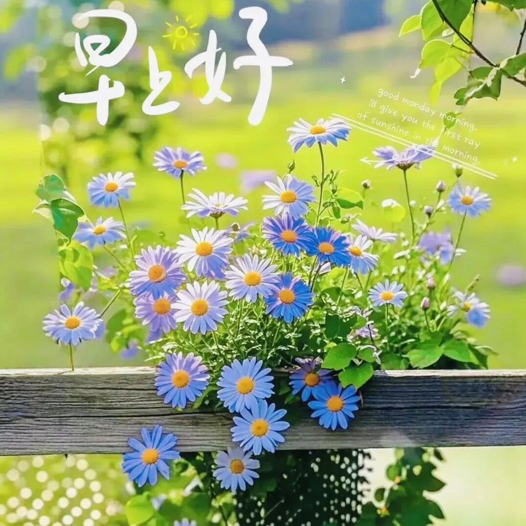 欢乐全家人正哥