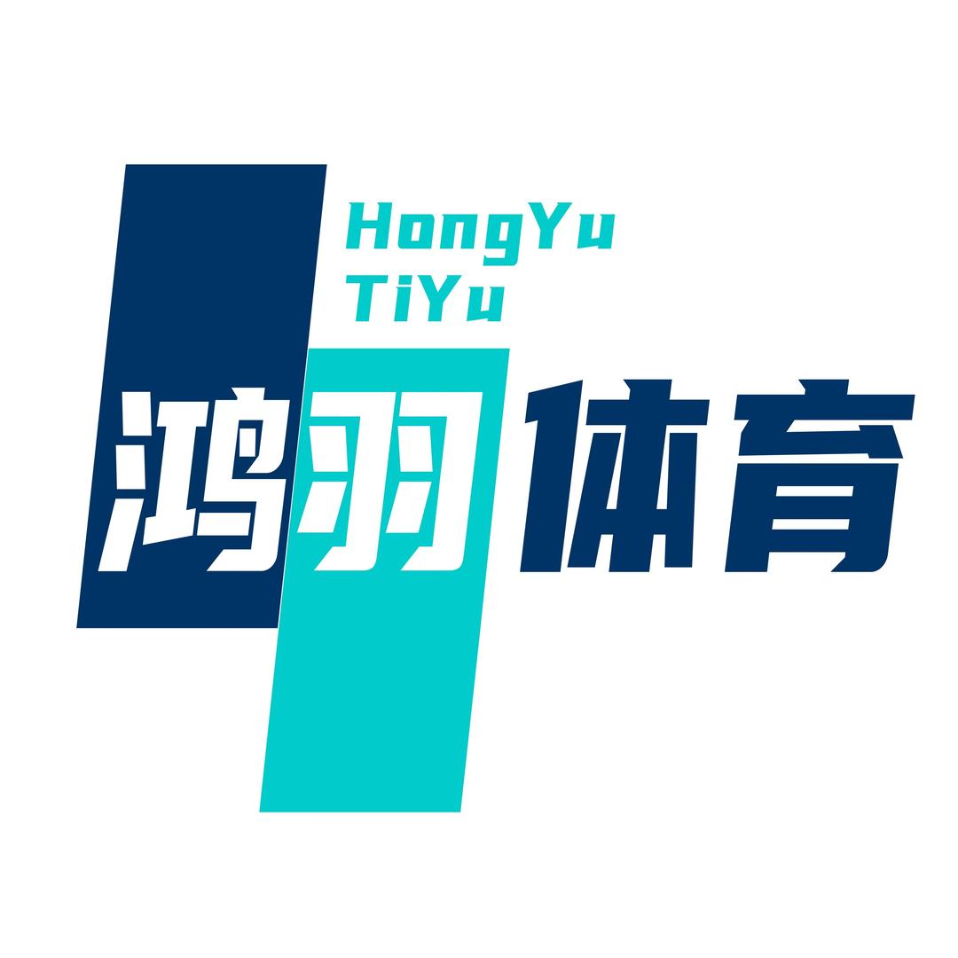 裴博士•鸿羽体育羽毛球训练平台（Q13）