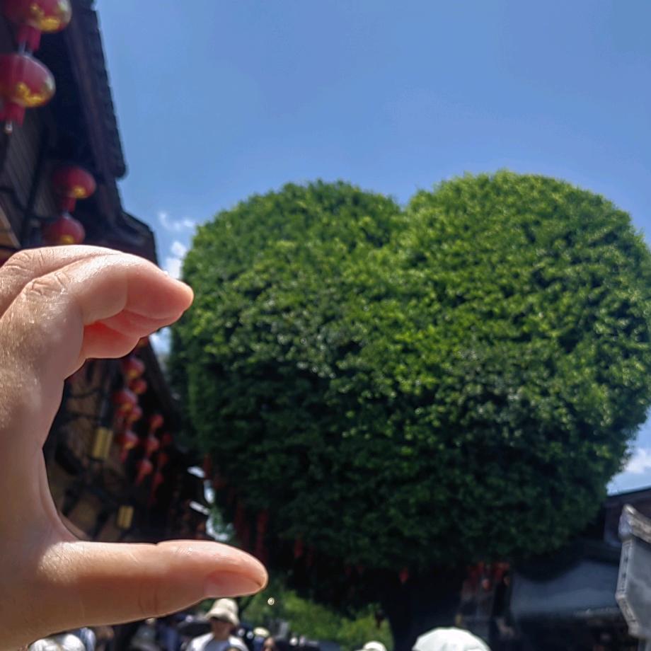 锄禾书屋官方号