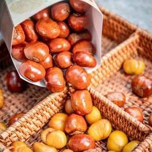 胖子炒货（吴趋坊店）