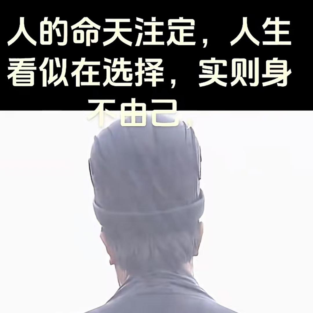 武汉袁少.涟卅