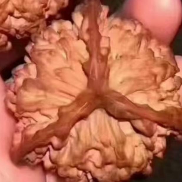 发宝源商店核对宠粉号