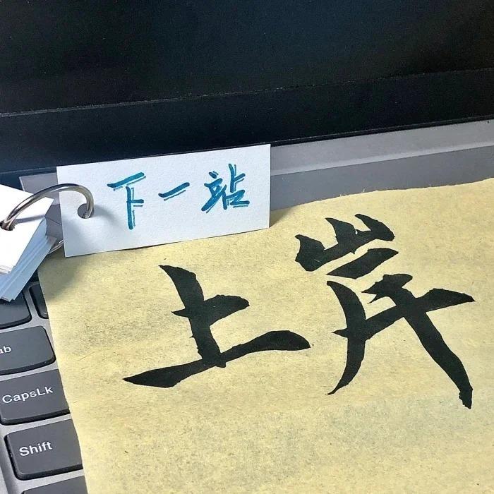 津叶至诚军华森淼（宠粉号）