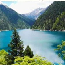 毅虹商贸1生活号