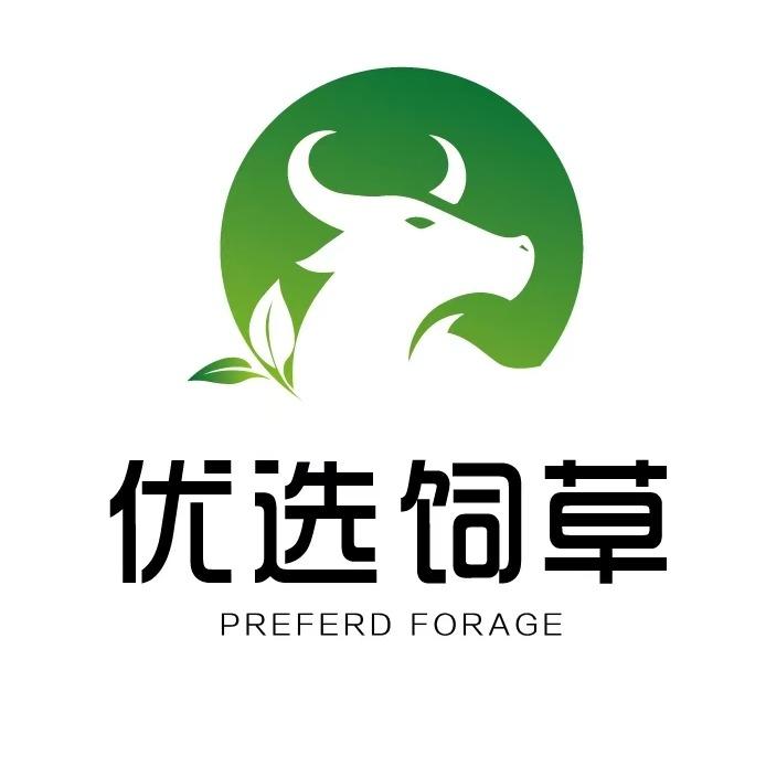 安徽优选饲草