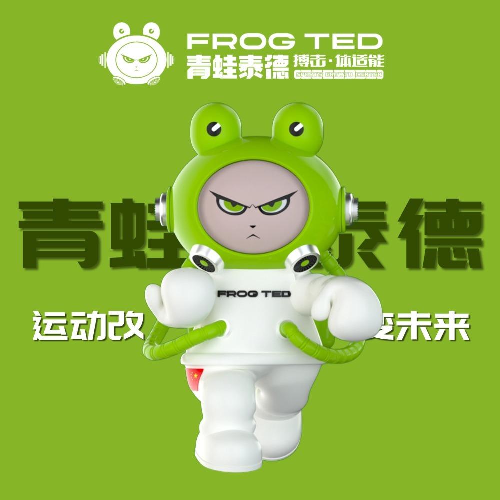 青蛙泰德散打搏击·体适能