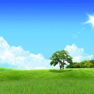 云蚂蚁超市(梅园新村店)翔芮折扣号