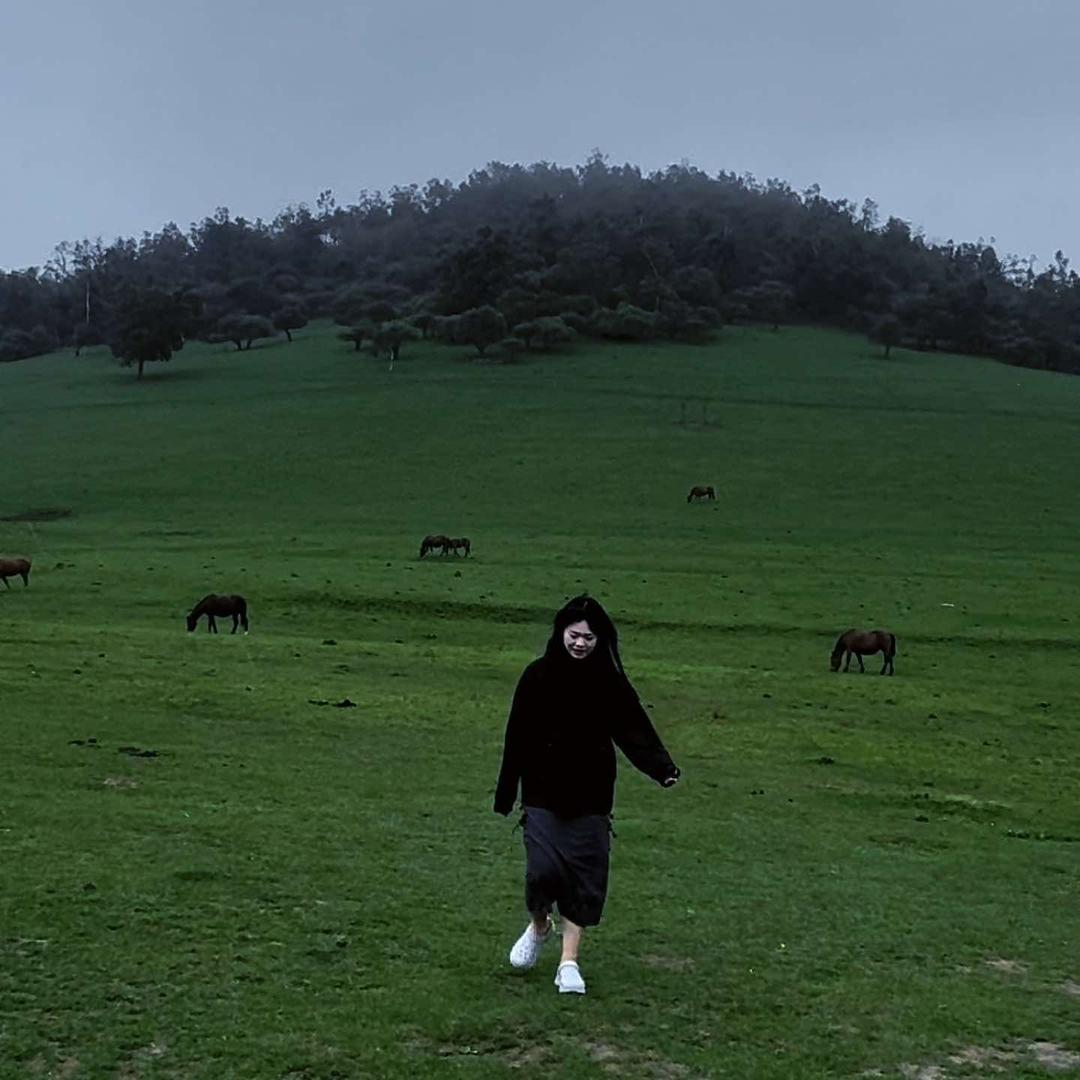 金谷好又多衢州鸭头