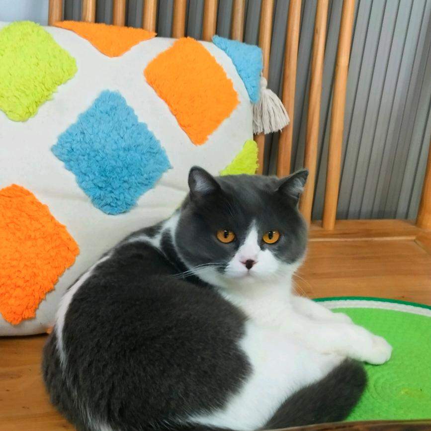 连云港伊亚坊民宿官方号