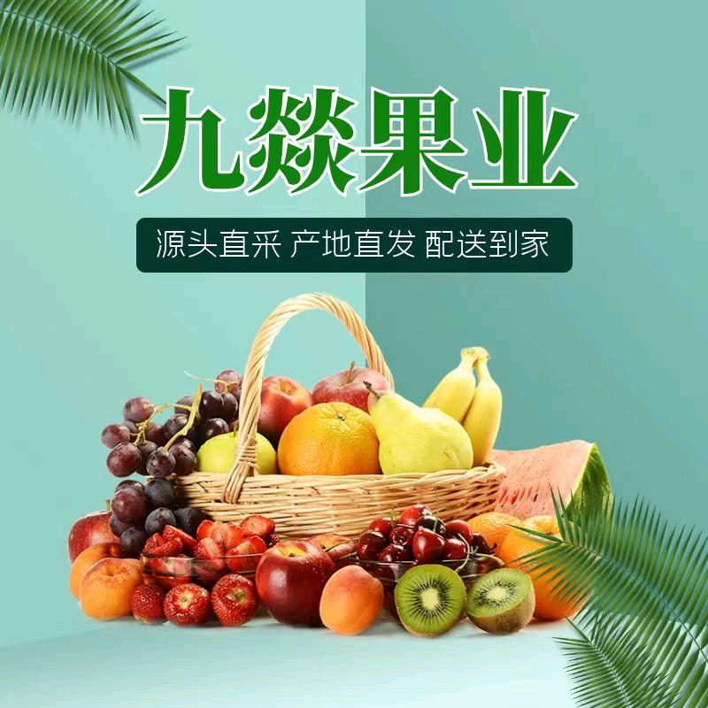 九燚果业(福田花园店)专用号